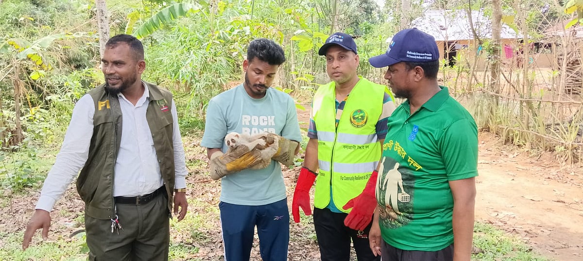 শরীরে আঘাতের চিহ্ন, লোকালয় থেকে উদ্ধার হলো বিপন্ন লজ্জাবতী বানর