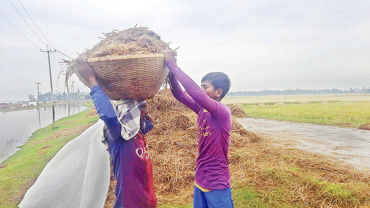 ‘আমরা অখন বাড়িত কিতা লইয়া ফিরতাম?’