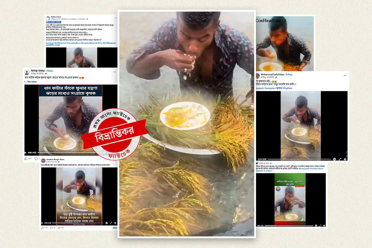 বৃষ্টিতে ভিজতে ভিজতে ধানখেতে কৃষকের ভাত খাওয়ার ভিডিওটি বিভ্রান্তিকর