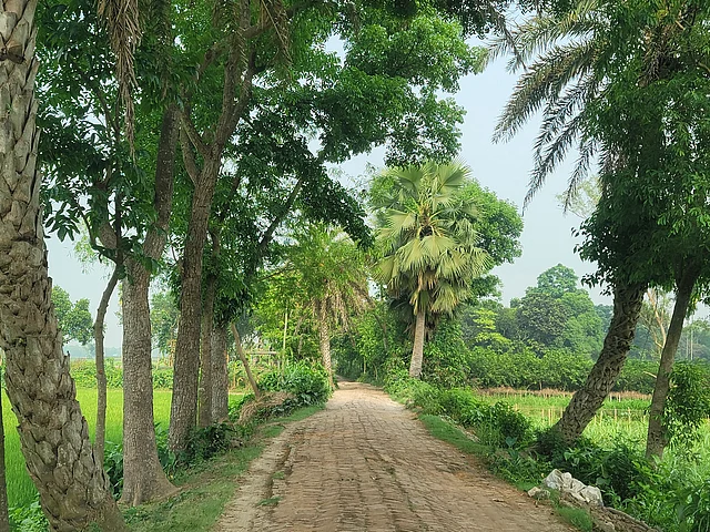 ইট বিছানো পথ