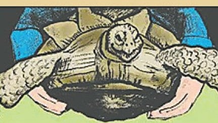 কচ্ছপ ধরতে পুলিশ হাজির