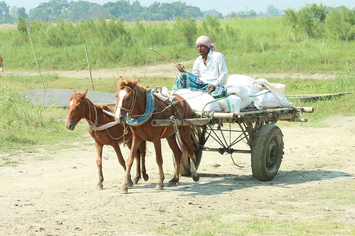 একঝলক (৮ মে ২০২৬)