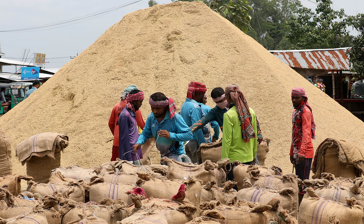 হাটে ধানের দাম পড়তি, লোকসানে কৃষক