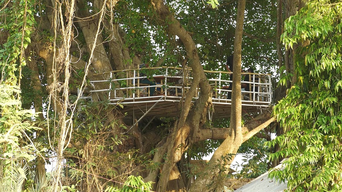 ছবি: প্রথম আলো