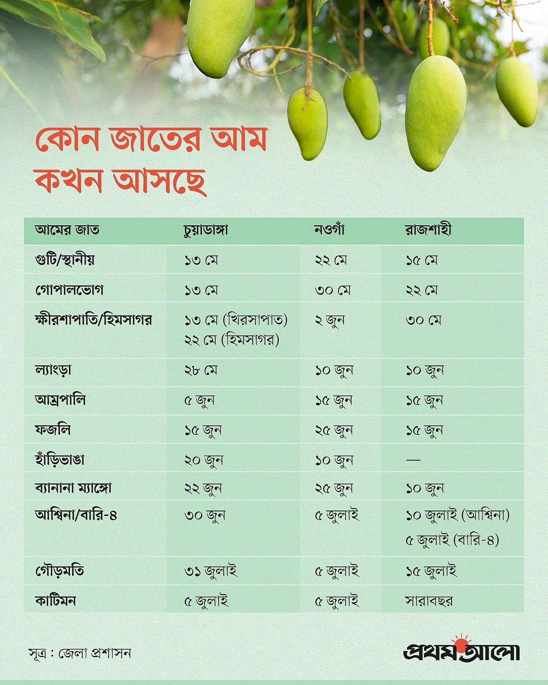 রাজশাহী ও নওগাঁর কোন জাতের আম কবে আসছে বাজারে