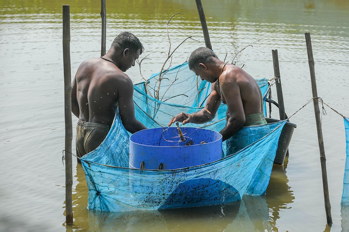 একঝলক (১১ মে ২০২৬)