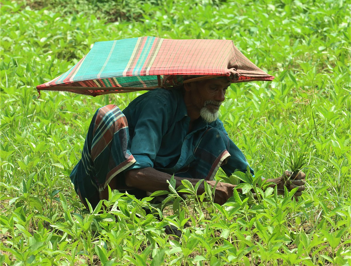 ছবি: আলীমুজ্জামান