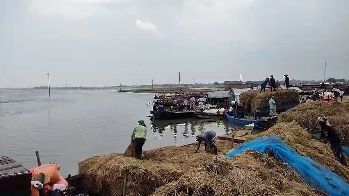 ভারতীয় পানির ঢলে তলিয়েছে চাঁপাইয়ের ধানখেত, লোকসানে কৃষকেরা