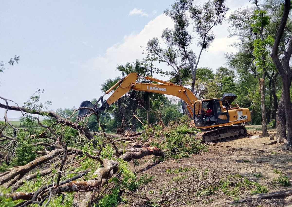 পটুয়াখালীতে বেড়িবাঁধ সংস্কার করতে গিয়ে বন ধ্বংস, মুখোমুখি পাউবো ও বন বিভাগ