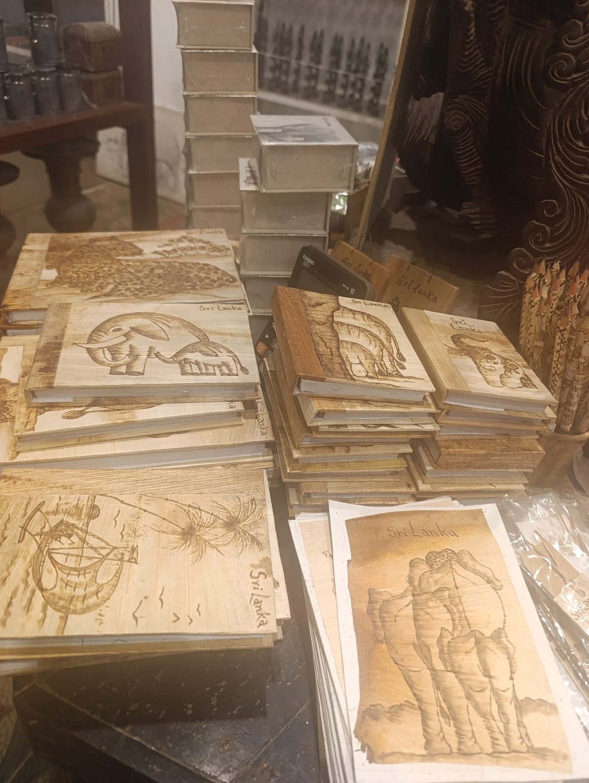 হাতির মল থেকে কাগজ, দেখে বেশ বিস্মিতই হলাম