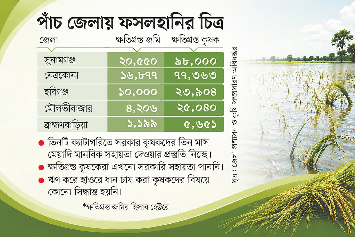হাওরে বোরো ধানের ক্ষতির তালিকা ‘প্রস্তুত’, কবে আসবে সরকারি বরাদ্দ