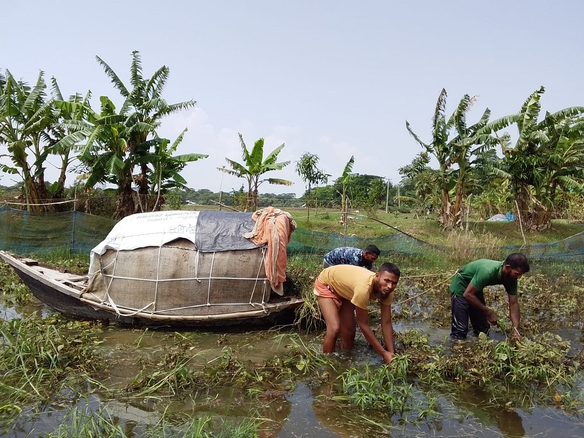 ‘বৃষ্টির পানিতে সব জমি তলাইয়া গ্যালো, এ্যাহন চালান শ্যাষ, লাভও শ্যাষ’