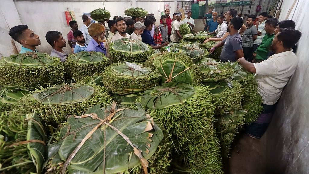 টরকীর পানের হাটে আড়তগুলোতে সকাল থেকে রাত পর্যন্ত চলে হাঁকডাক