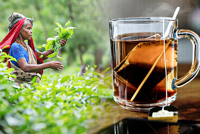 এক কাপ চায়ে হাজার বছরের গল্প