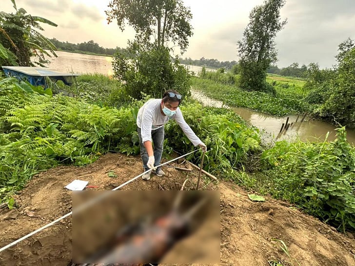 হালদায় ভাসছিল মৃত ডলফিন, সাড়ে ছয় বছরে ৫১টির মরদেহ উদ্ধার