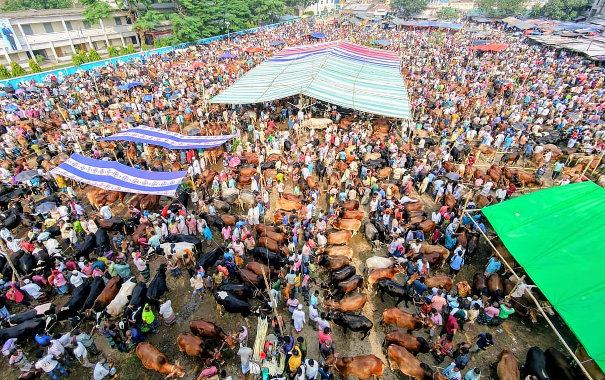 উত্তরবঙ্গের মহাস্থান কোরবানির পশুর হাটে হাসিলের নামে চাঁদাবাজির অভিযোগ