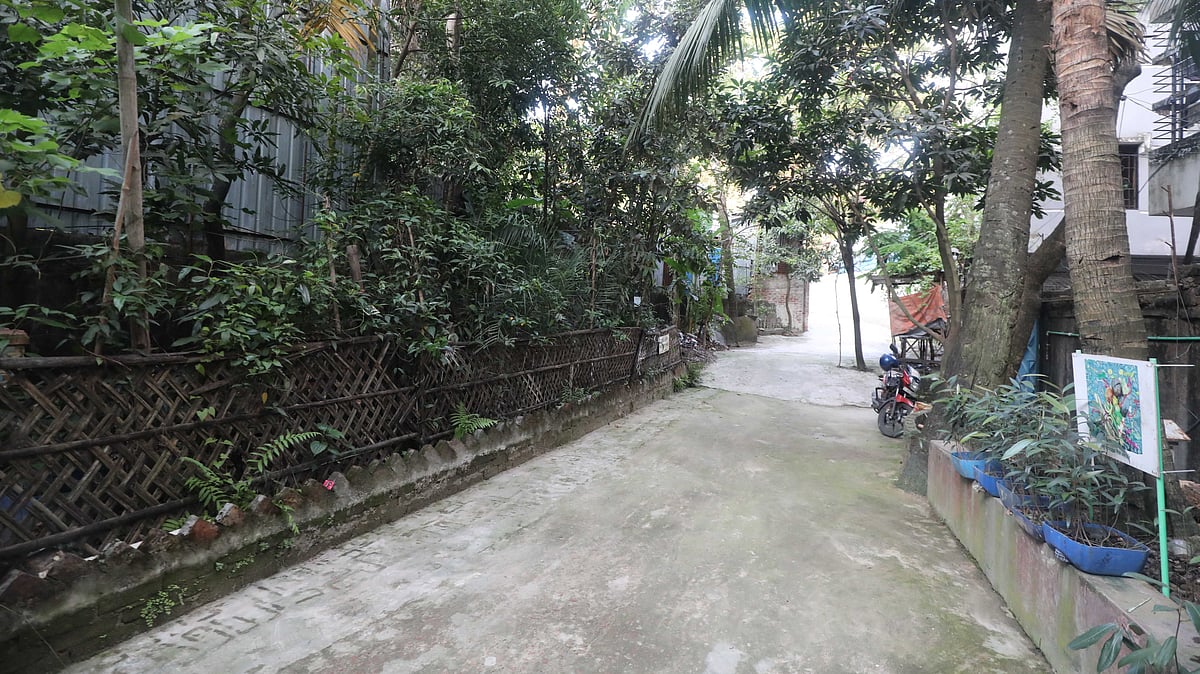 ব্যতিক্রমী মধু জাদুঘর ও গবেষণাকেন্দ্রের প্রবেশমুখে লাগানো হয়েছে সুন্দরবনের নানা গাছ
