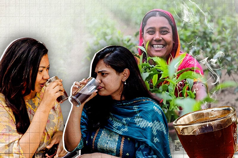 উত্তরাঞ্চল কি ‘সবুজ চায়ের ভূস্বর্গ’ হয়ে উঠছে