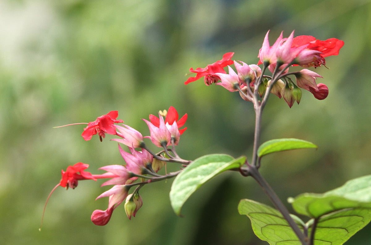 একঝলক (২১ মে ২০২৬)