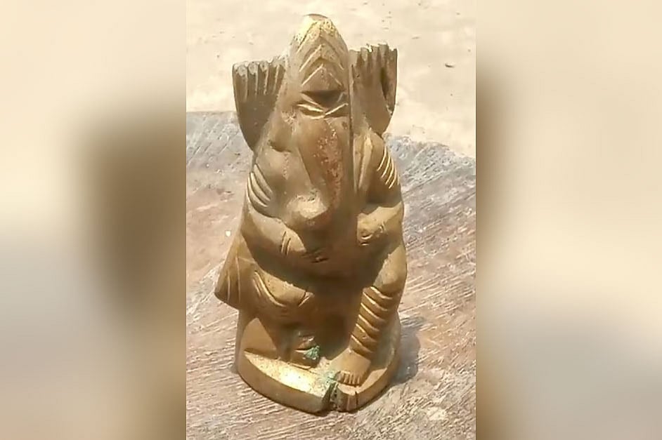গাব পাড়তে গিয়ে গণেশমূর্তি পেল তিন কিশোর, স্বর্ণ ভেবে কেটে ভাগাভাগি