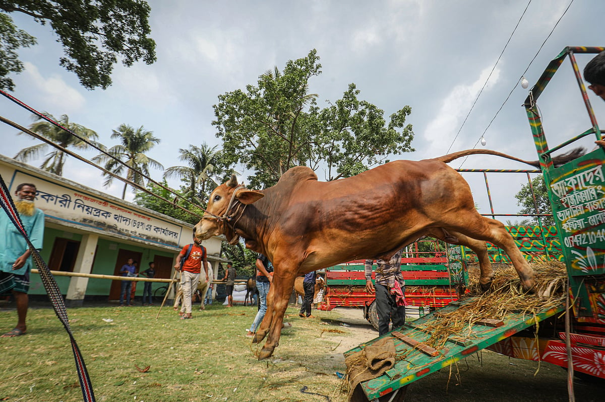 একঝলক (২৪ মে ২০২৬)