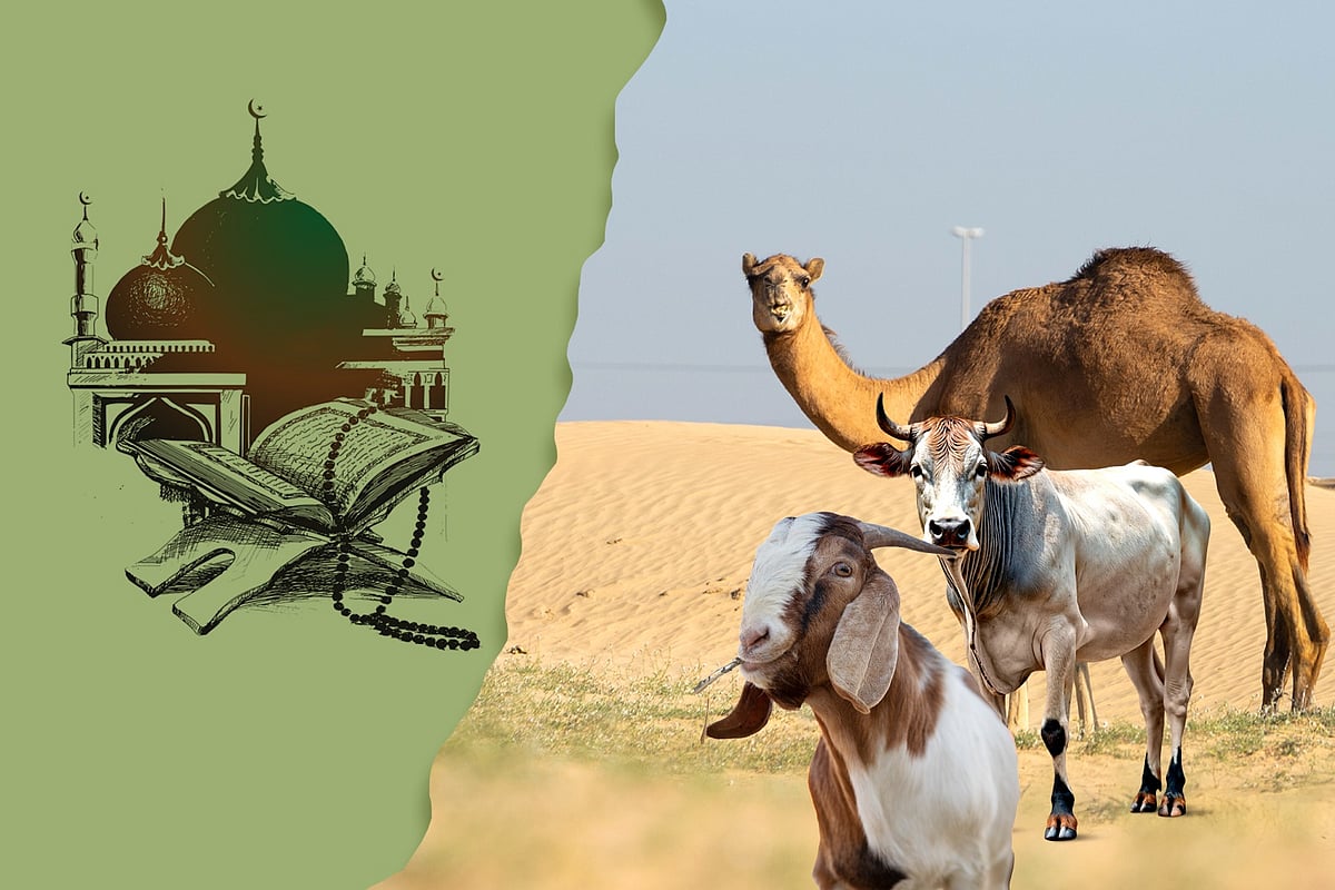 কোরবানি কার ওপর কখন ওয়াজিব