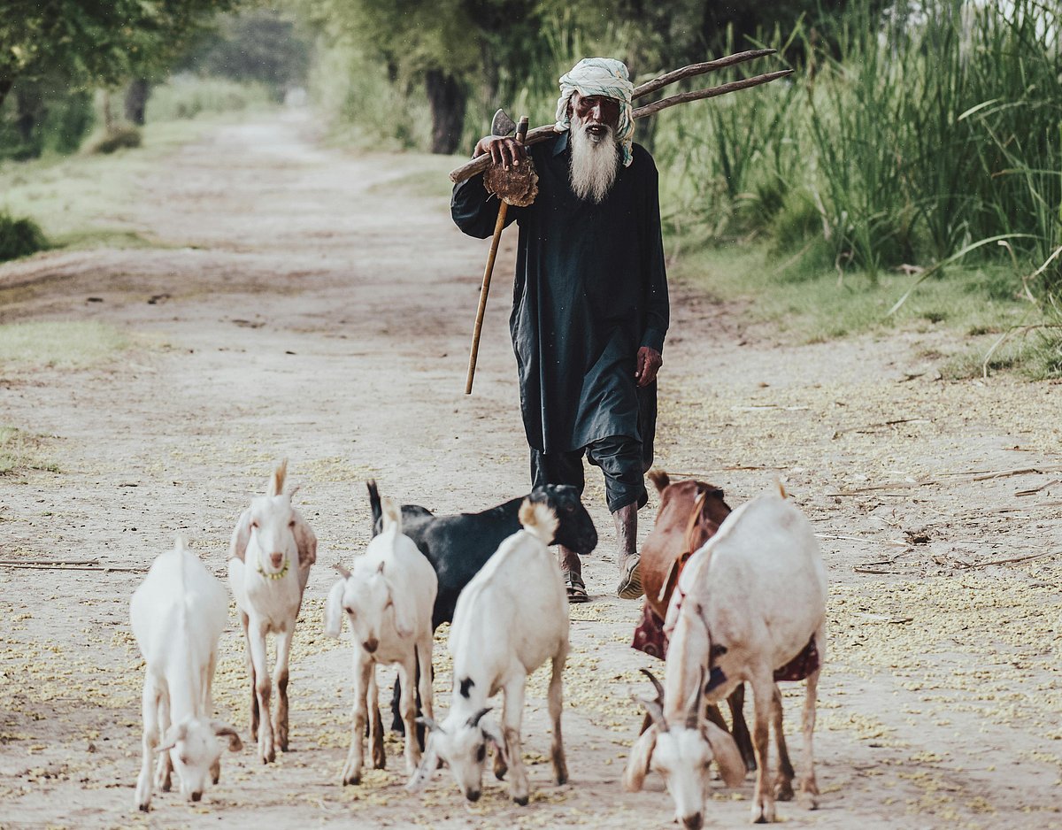 ঋণ করে কোরবানি: ‘ইসলামিক’ নাকি সামাজিক