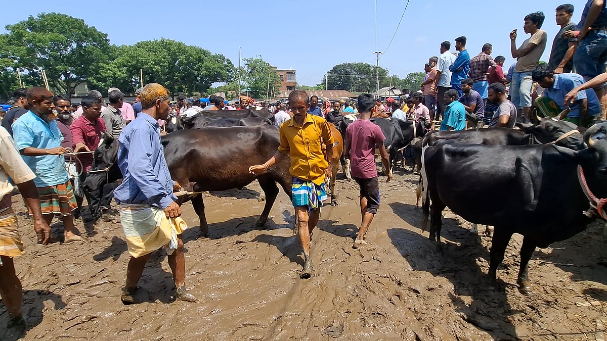 প্রতিবছর কোটি টাকার বেশি রাজস্ব আদায়, তবু কাদাপানিতে দাঁড়িয়েই পশু কেনাবেচা