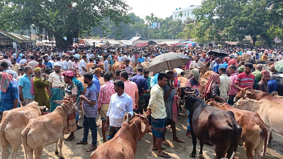 কোরবানির পশুর হাটে হঠাৎ ছোটাছুটি শুরু করে মহিষ, গুঁতা খেয়ে দুজন নিহত