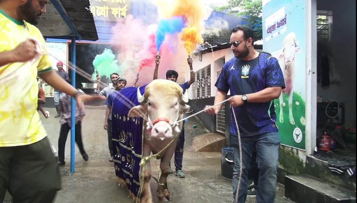 লালগালিচা বিছিয়ে, রঙিন ধোঁয়া উড়িয়ে ভাইরাল ‘ডোনাল্ড ট্রাম্প’–কে বিদায়