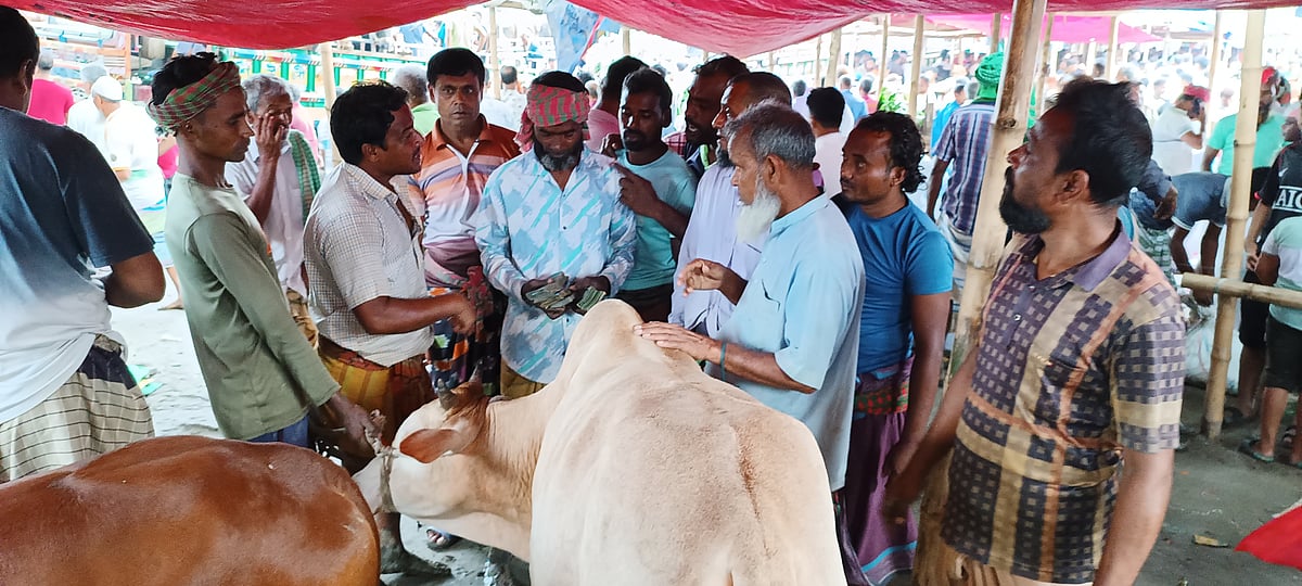 ভালো দামে গরু বিক্রি করতে পেরে স্বস্তিতে খামারিরা
