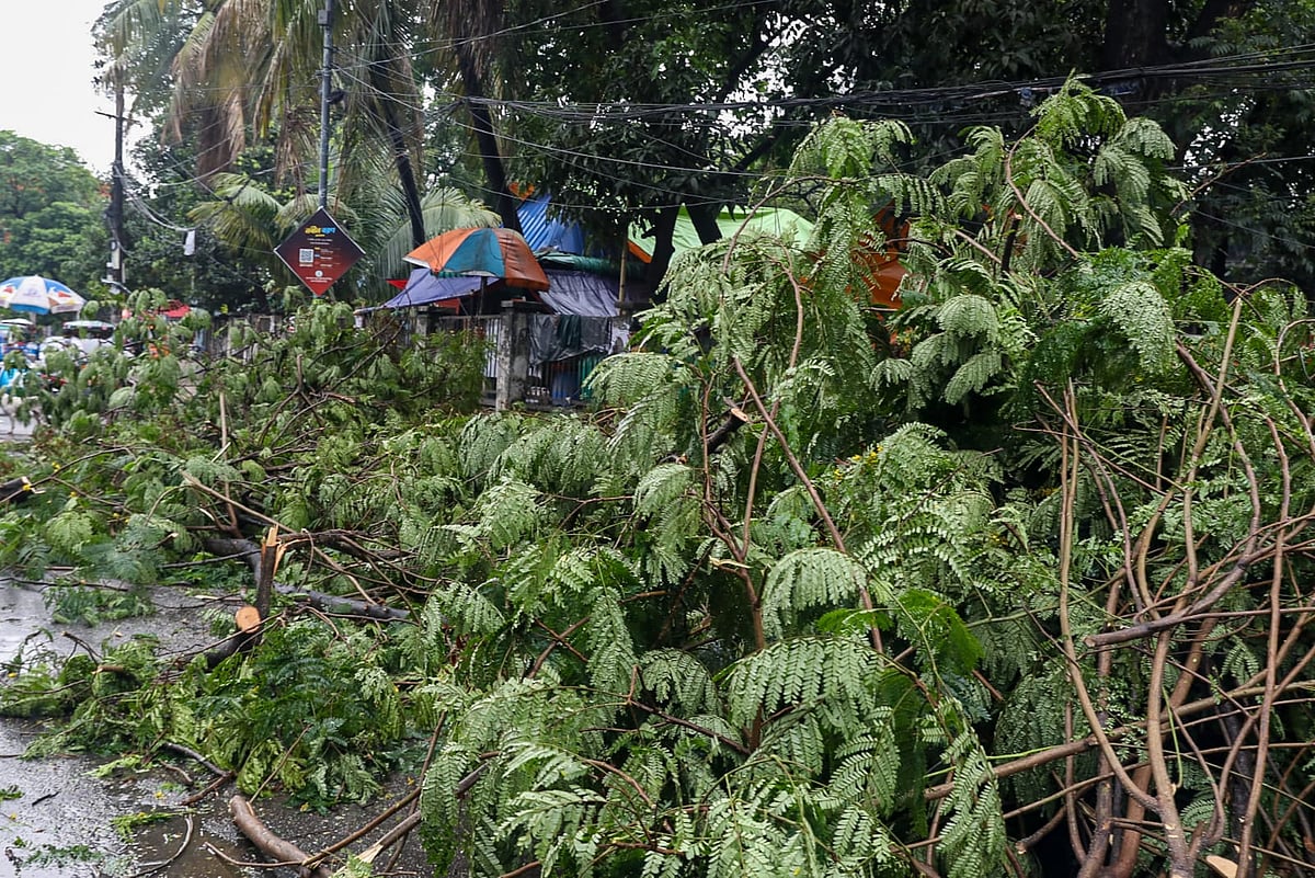 রাজধানীসহ দেশের বিভিন্ন স্থানে বৃষ্টি, এমন কত দিন চলতে পারে