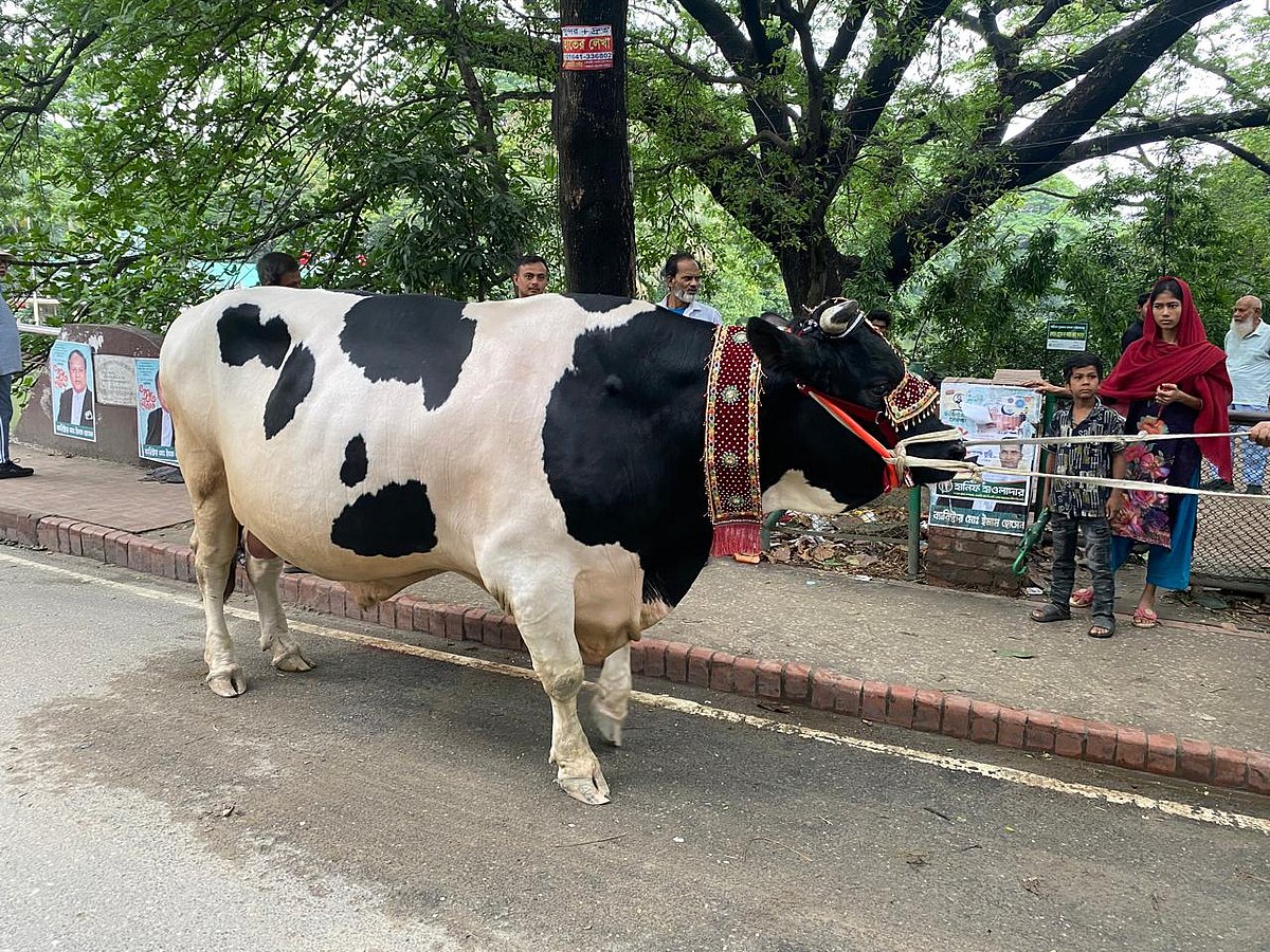 একঝলক (২৭ মে ২০২৬)