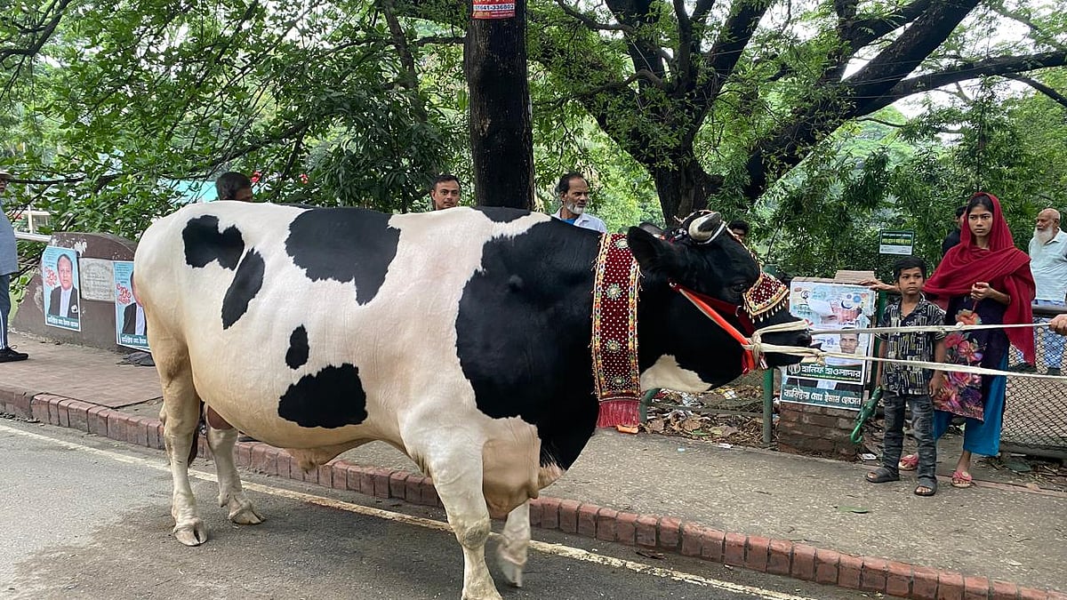 ছবি: আবু তাহের সোহেল 