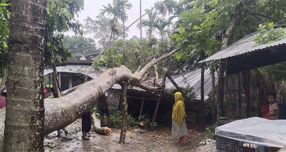 মেহেন্দীগঞ্জে ঈদুল আজহার আগের দিন ঝড়ের তাণ্ডবে লন্ডভন্ড বাড়িঘর