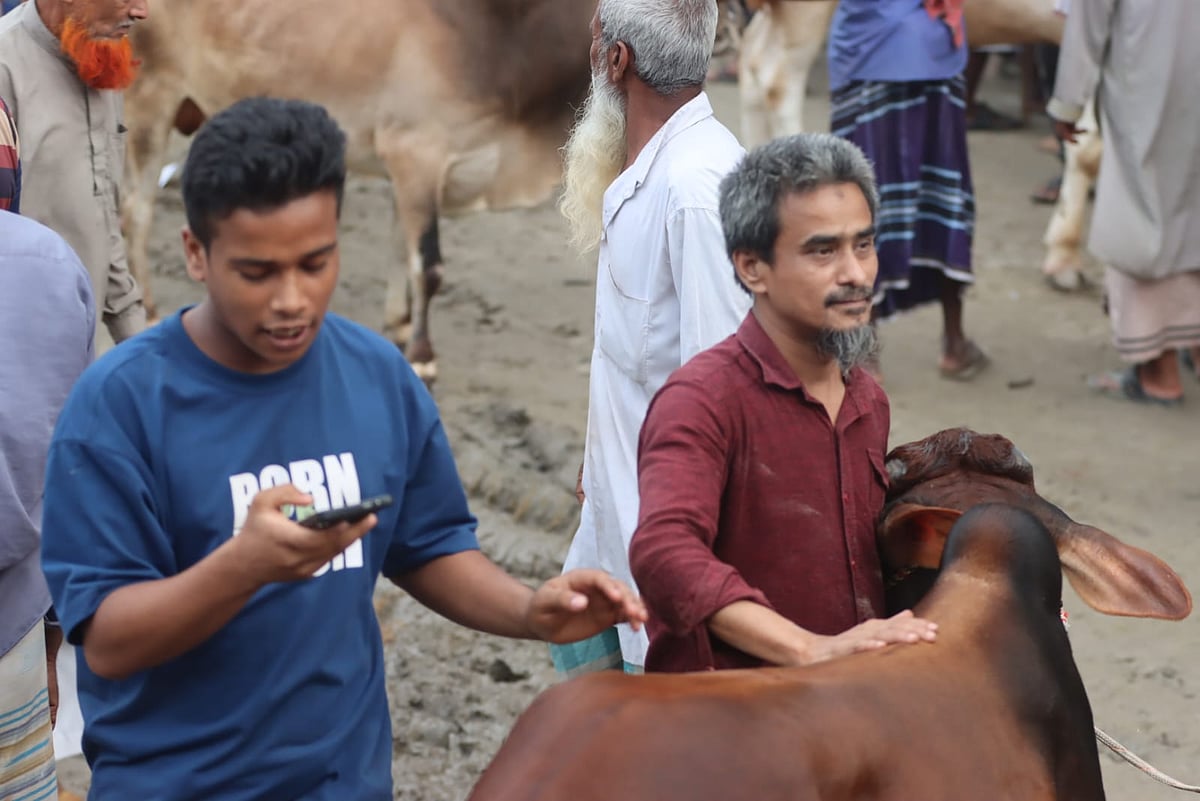 গরু কিনে বাড়ির সদস্যদের ভিডিও কলে গরু দেখাচ্ছেন