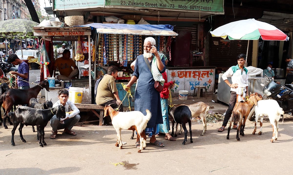কলকাতার কোরবানির পশুর হাটে নেই কোনো গরু