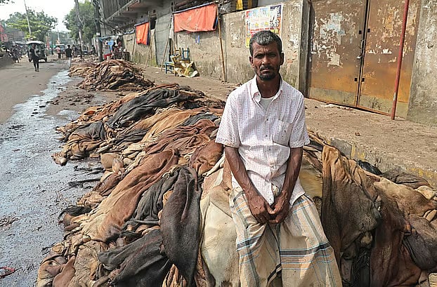 গতবার চামড়া কিনে লাখ টাকা লোকসান, এবার ব্যবসায় নামছেন না অনেকে