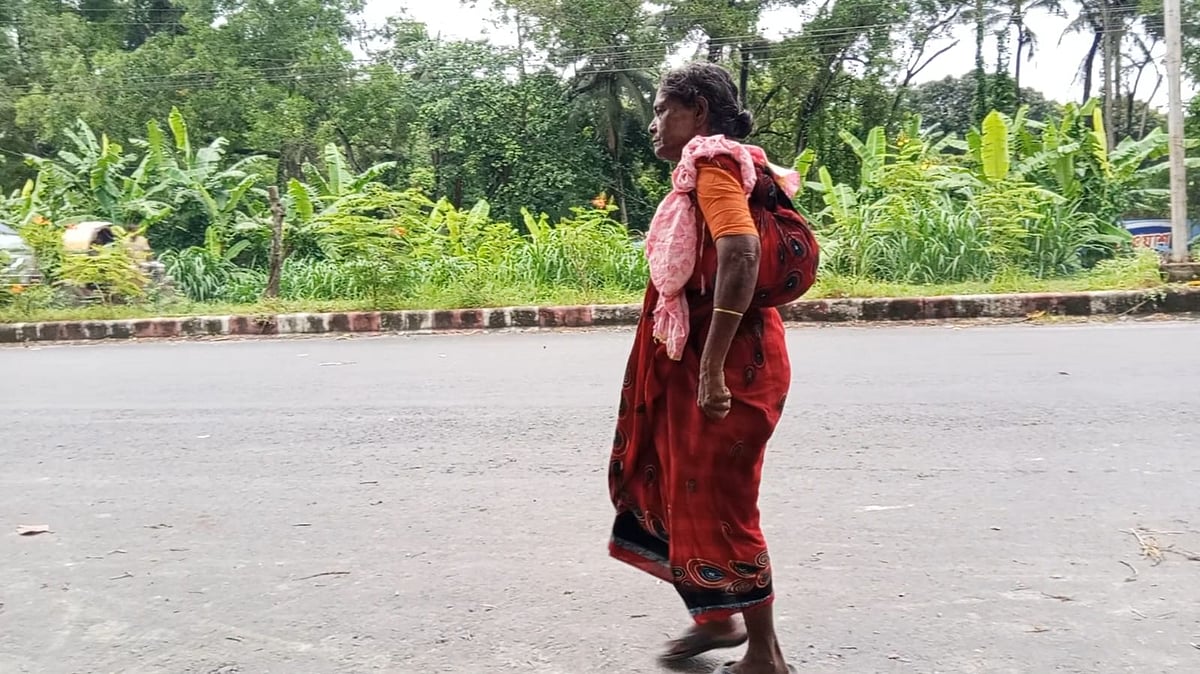 নজরুলের গান গেয়ে ভাইরাল লাইলী বেগম কে, কী করেন