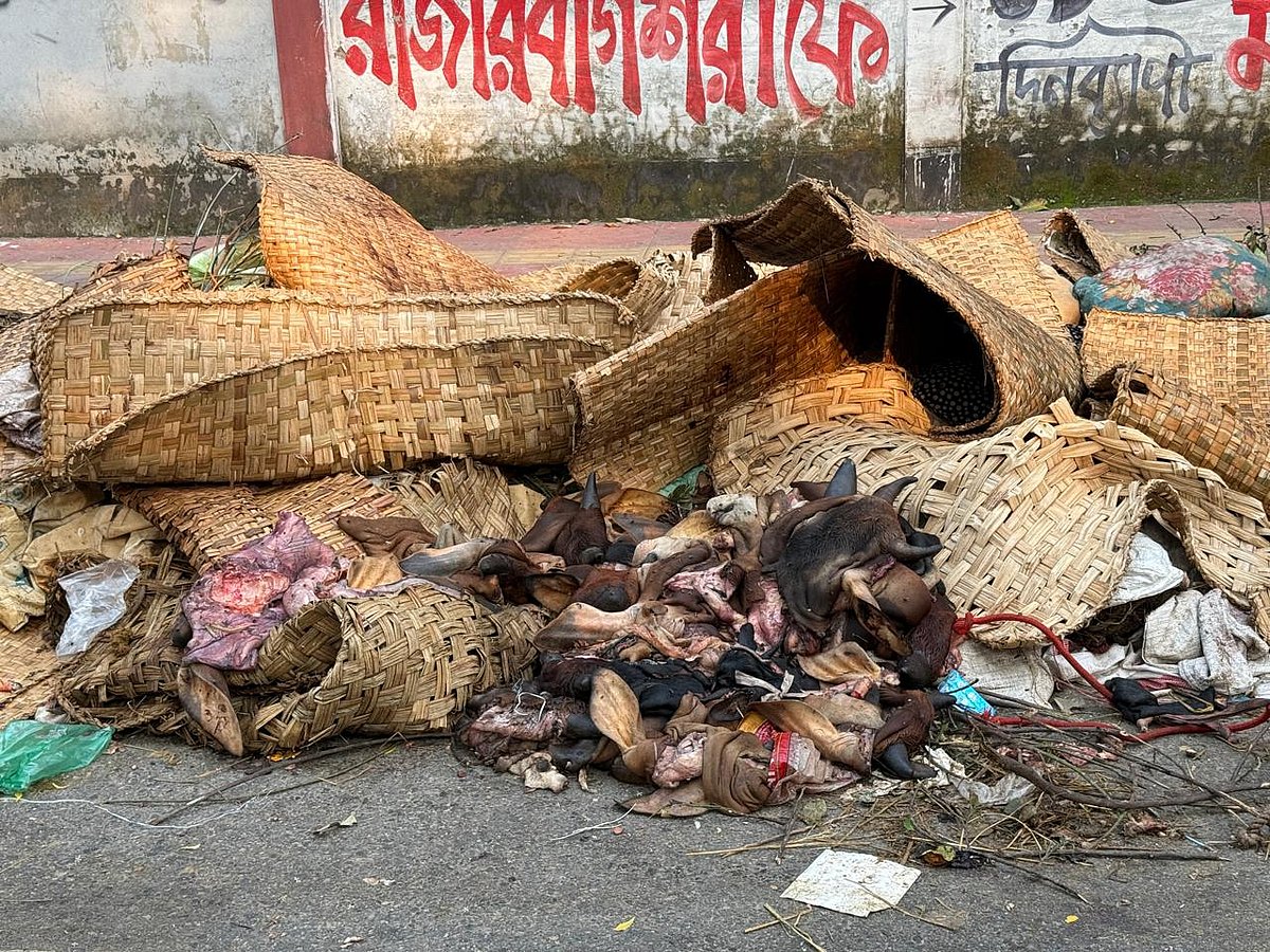 সকালে ঢাকার বিভিন্ন রাস্তায় বর্জ্য