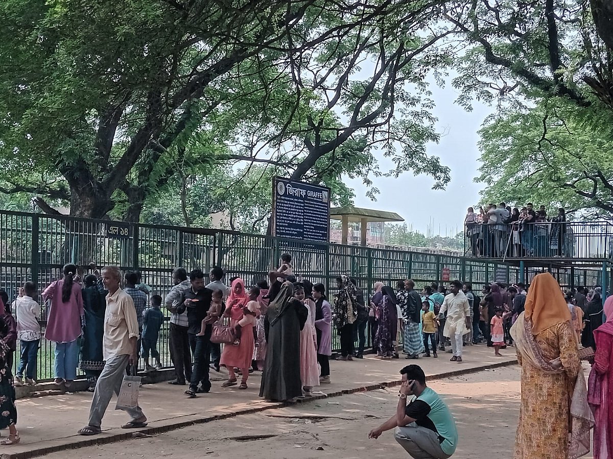 ‘উল্লুক অনেক ডাকাডাকি করেছে, খেলাও দেখিয়েছে’