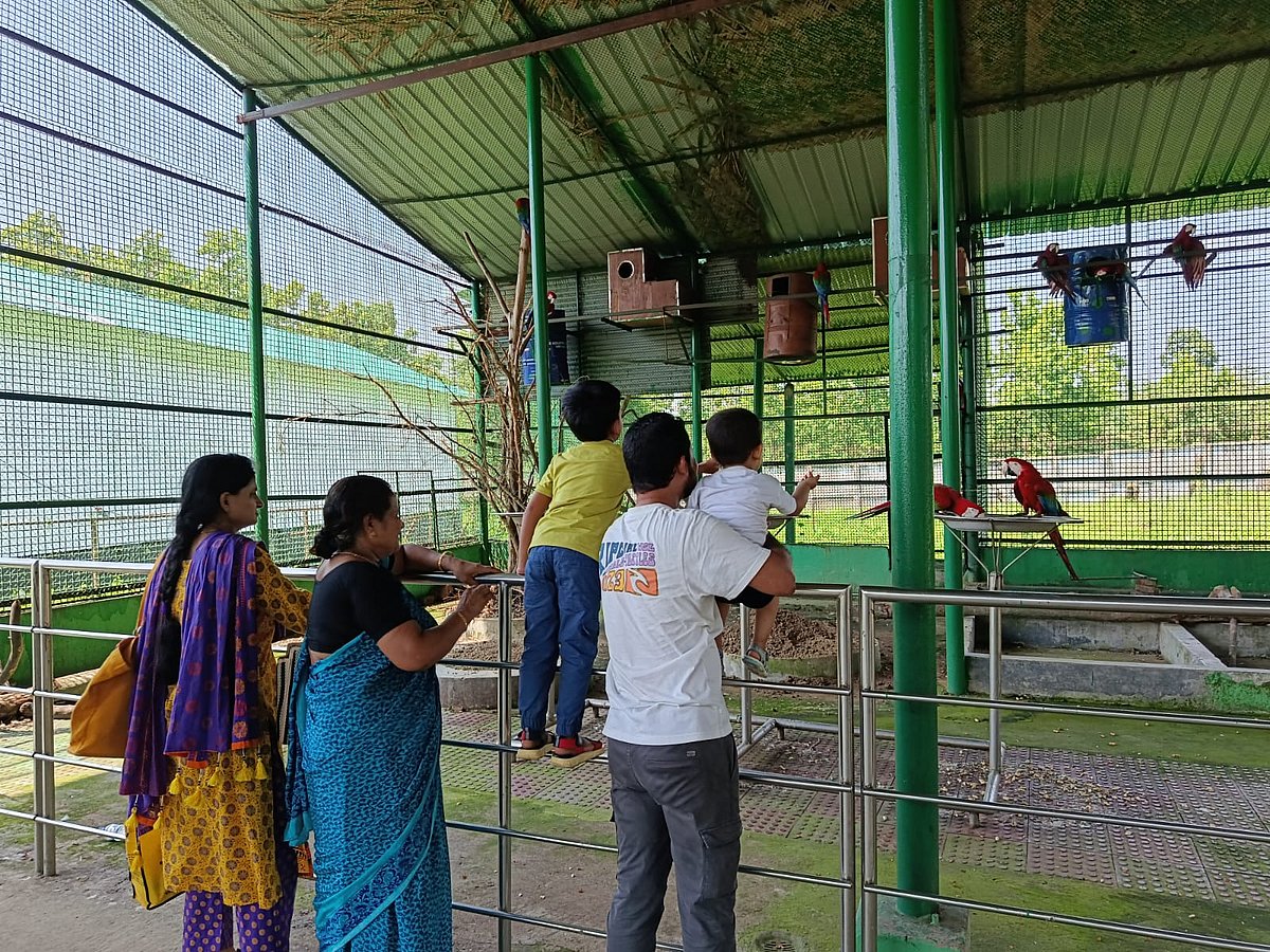 ঈদের তৃতীয় দিনে ভিড় বেড়েছে সাফারি পার্কে, বাসে ঘুরে প্রাণী দেখছেন দর্শনার্থীরা