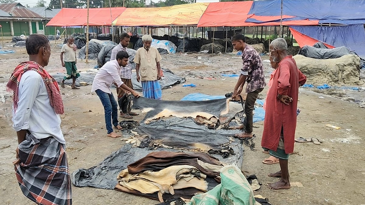 মৌসুমি ব্যবসায়ীরা চামড়া নিয়ে অপেক্ষায়, পাইকারদের দেখা নেই