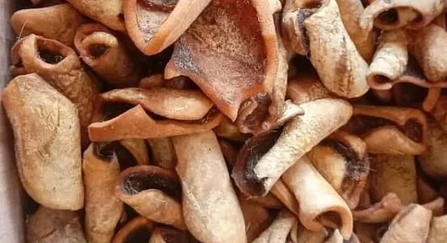 গরুর চামড়ার কোরিয়াম স্তর অত্যন্ত ঘন, ফলে এটি প্রাকৃতিক গঠনমূলক প্রোটিনের একটি কার্যকর উৎস