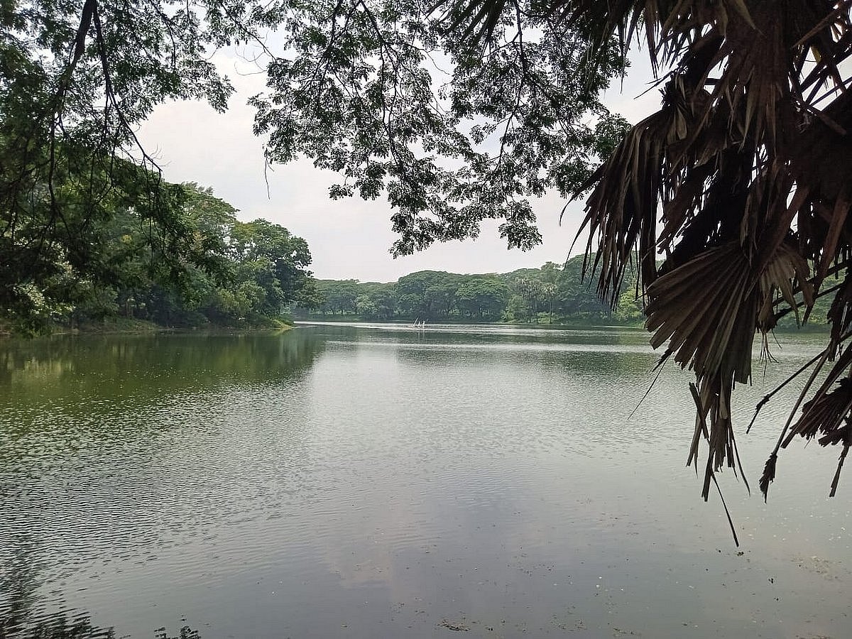 চিড়িয়াখানার লেকে বড় মাছ, কীভাবে ধরবেন