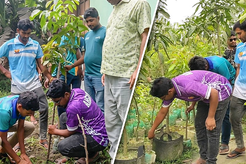 নবজাতক জন্ম নিলেই রোপণ করা হয় দুটি চারা