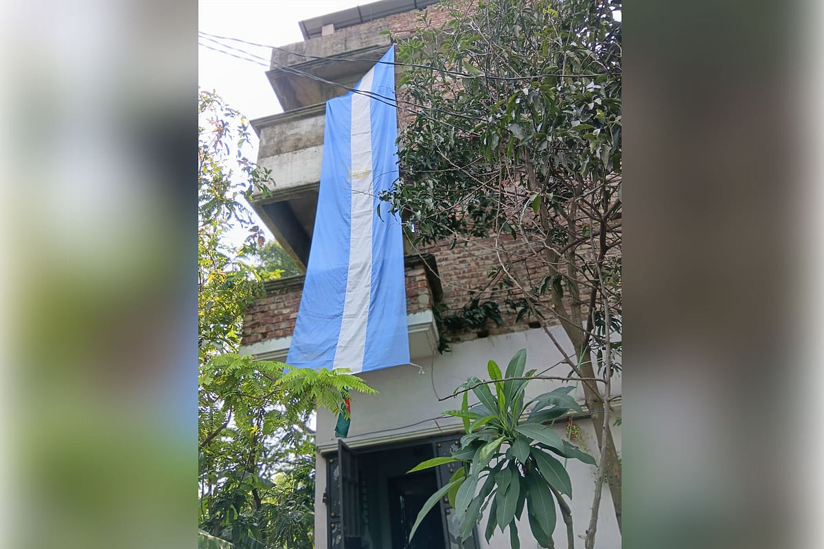 বাড়ির ছাদে আর্জেন্টিনার পতাকা লাগাতে গিয়ে মৌমাছির কামড়ে সমর্থক আহত