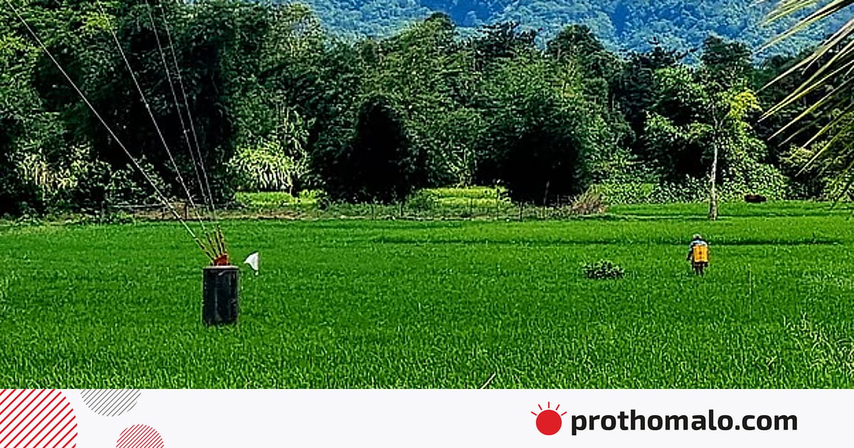 ঘুমধুম সীমান্তে আবারও মাইন বিস্ফোরণ, উড়ে গেছে যুবকের গোড়ালি ঘুমধুম সীমান্তে আবারও মাইন বিস্ফোরণ, উড়ে গেছে যুবকের গোড়ালি