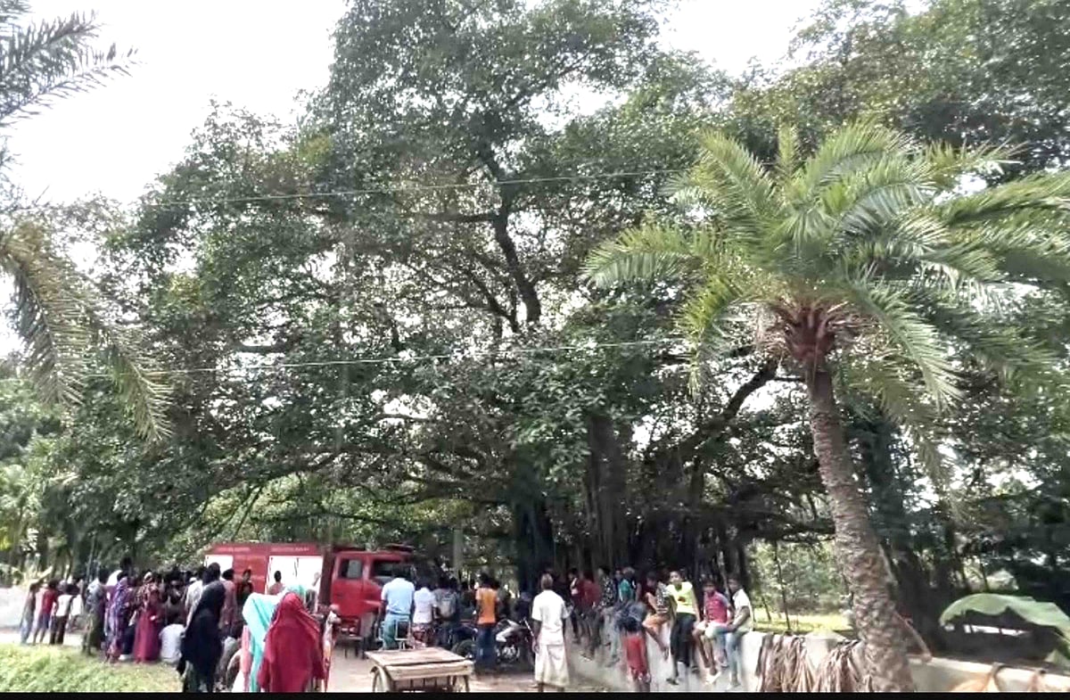 কবরস্থানে বটগাছের মগডালে উঠে দিনভর লাফালাফি, ফায়ার সার্ভিসের দীর্ঘ চেষ্টায় উদ্ধার