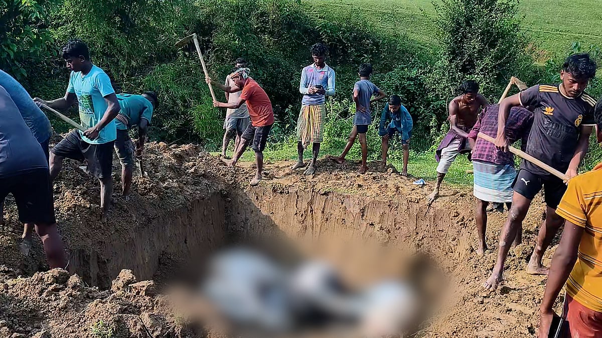 মাঠে চরানোর সময় বজ্রপাত, ১৪ গবাদিপশুর মৃত্যু